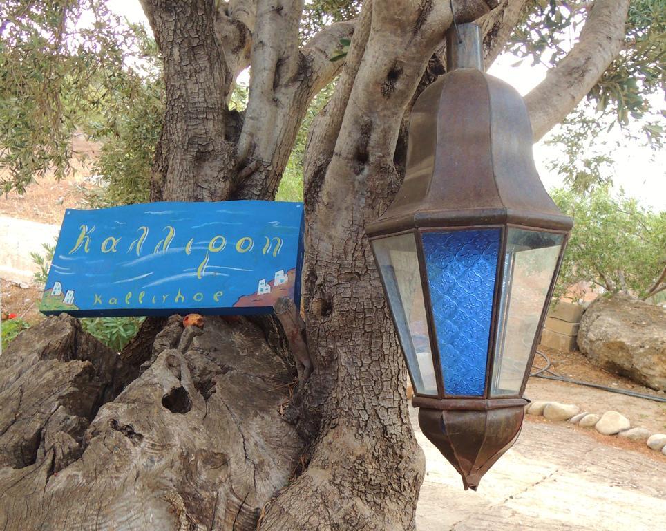 Kalliroe Apartments -Creta Αγία Γαλήνη Εξωτερικό φωτογραφία