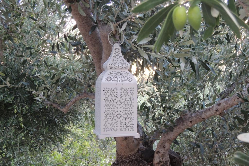 Kalliroe Apartments -Creta Αγία Γαλήνη Εξωτερικό φωτογραφία